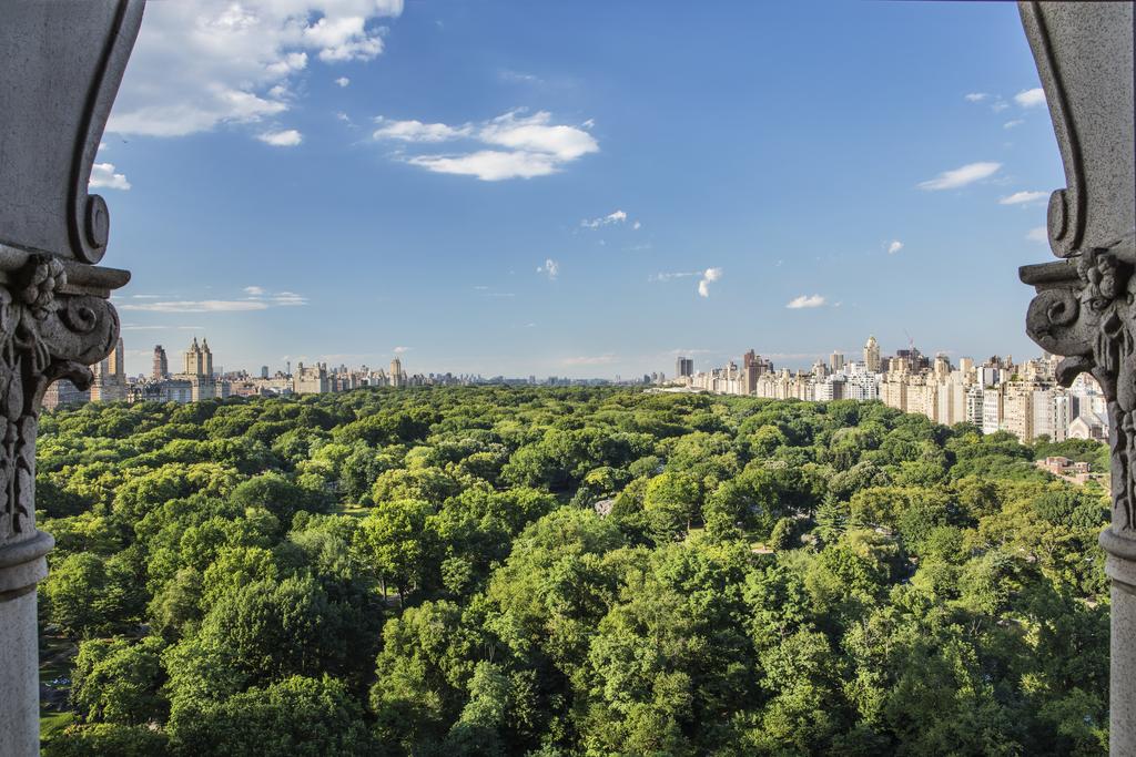 The Ritz-Carlton New York, Central Park, New York 7